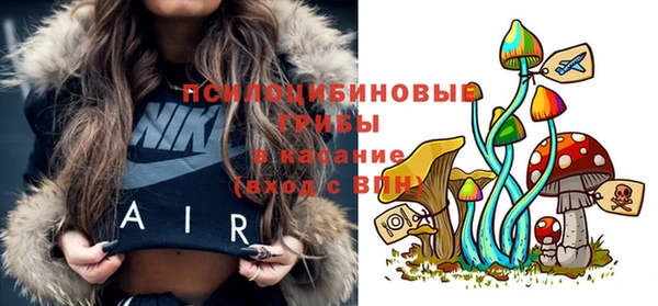 apvp Алексеевка